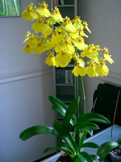 attachment.php?attachmentid=7736&stc=1&d=1156981019.jpg