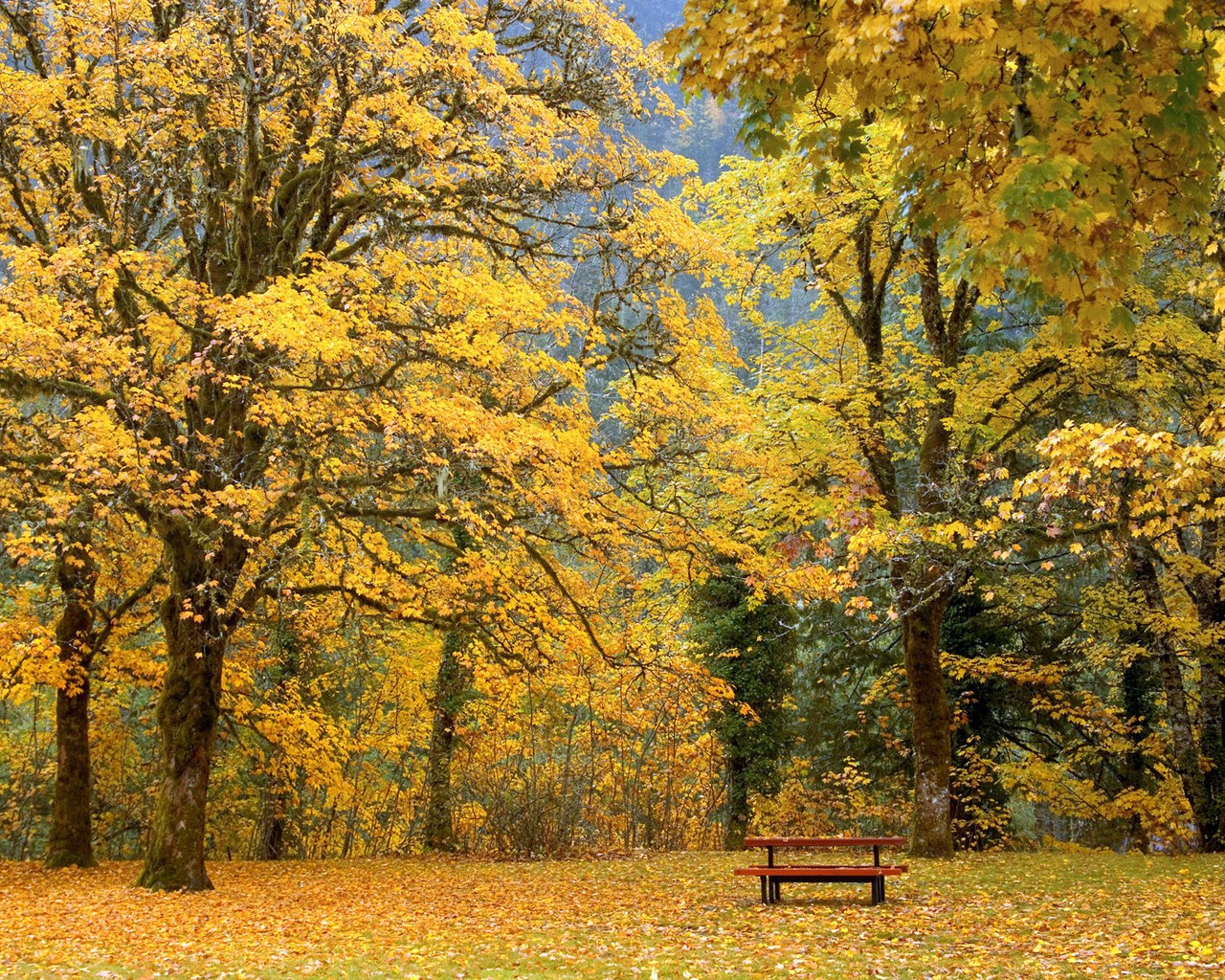 autumn-33.jpg