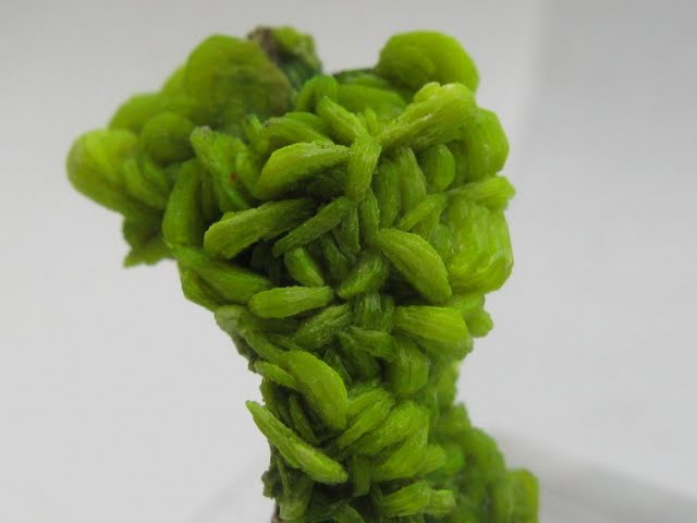 autunita_assuncao_0421.jpg