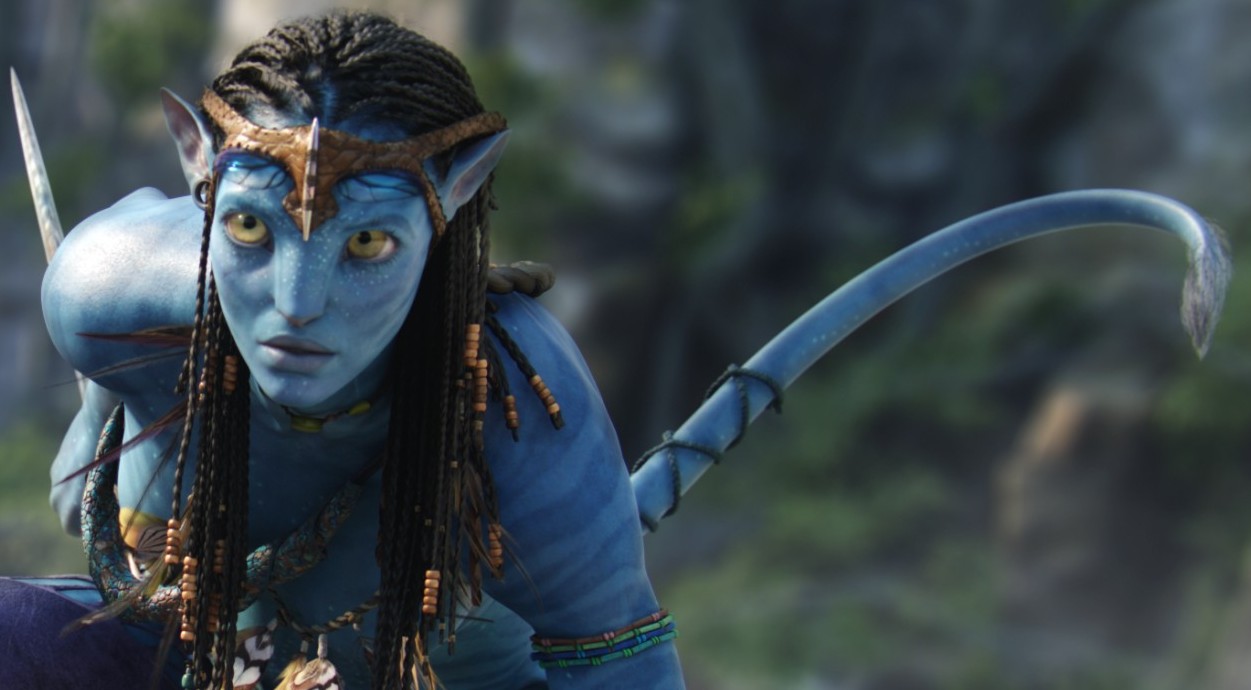 avatar.jpg