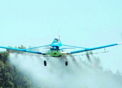 aviones-fumigando-250x180.jpg