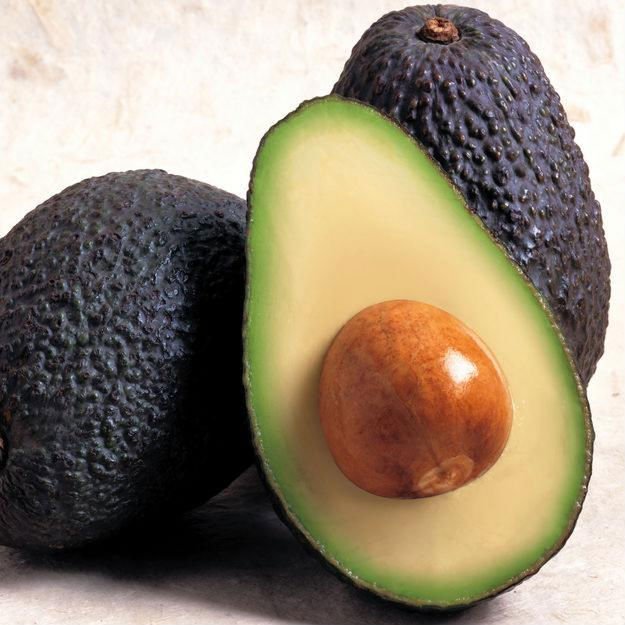 Avocado_Variety_Hass.jpg