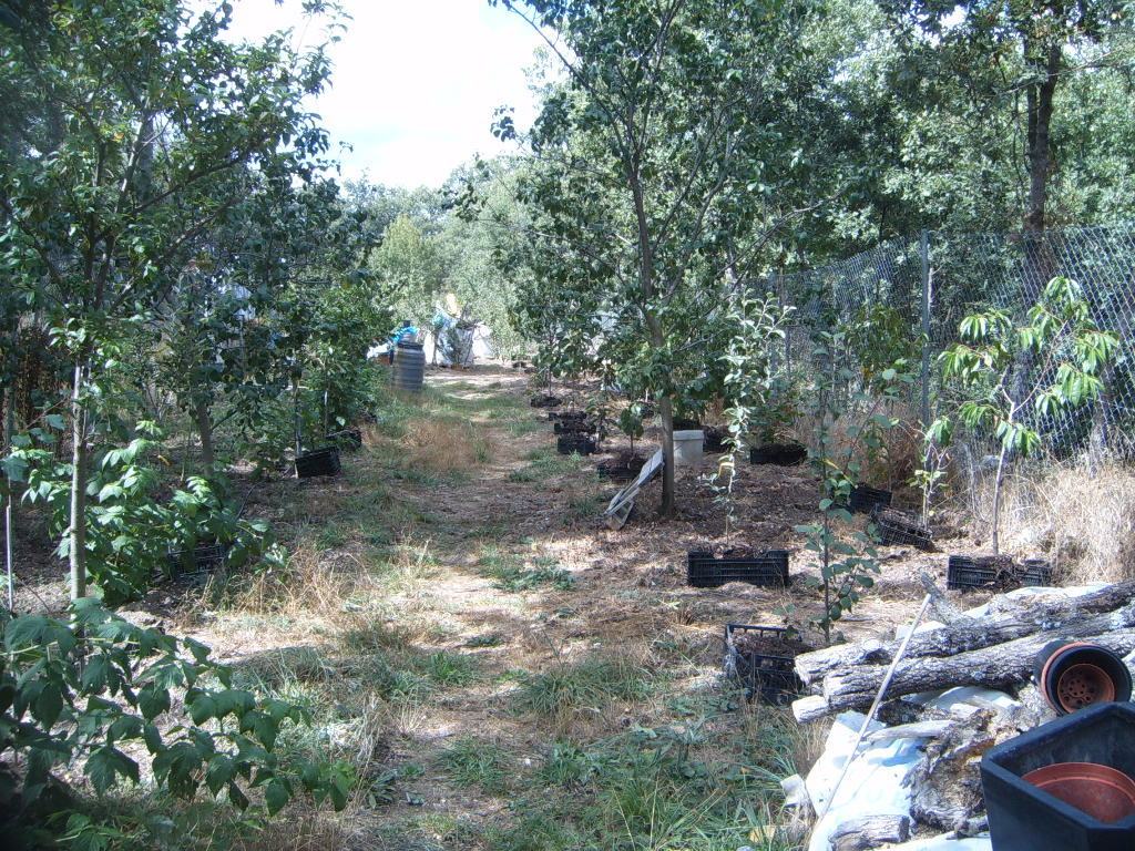 ayP884.jpg