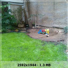 b29142ce11d8415a0eb83b1b44bbddb5o.jpg