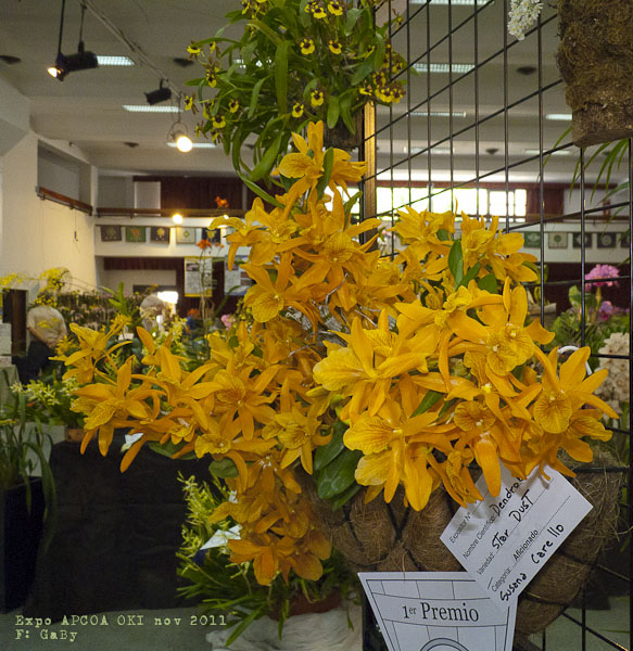 B2ing.jpg