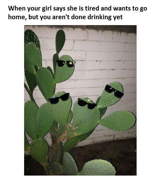 b3b.jpg