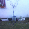 b5d5b071998726.gif