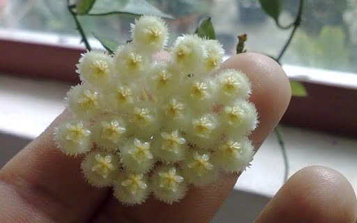b6.jpg