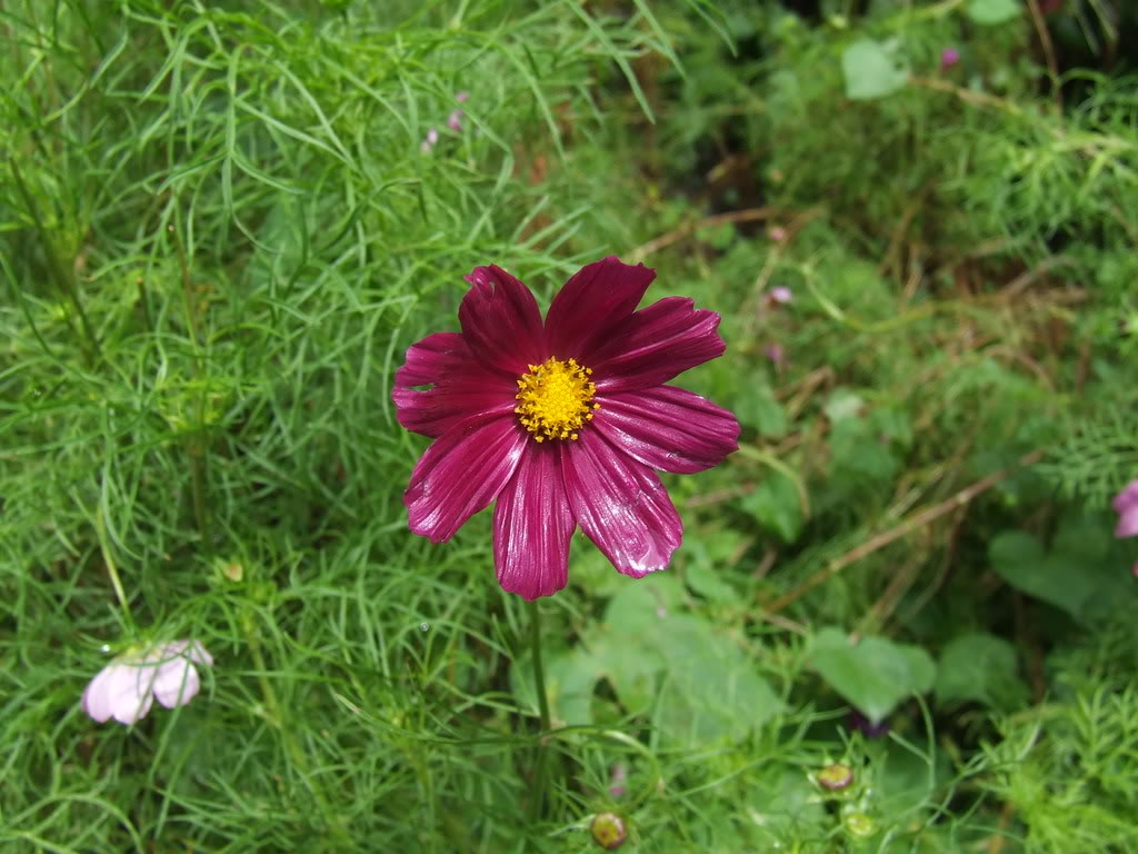 b603c373.jpg
