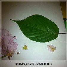 b64a8551efc10d4d2fc57fe588ccb8c7o.jpg