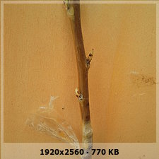 b7ad9ff5bda557da2c82d2ed55fad081o.jpg