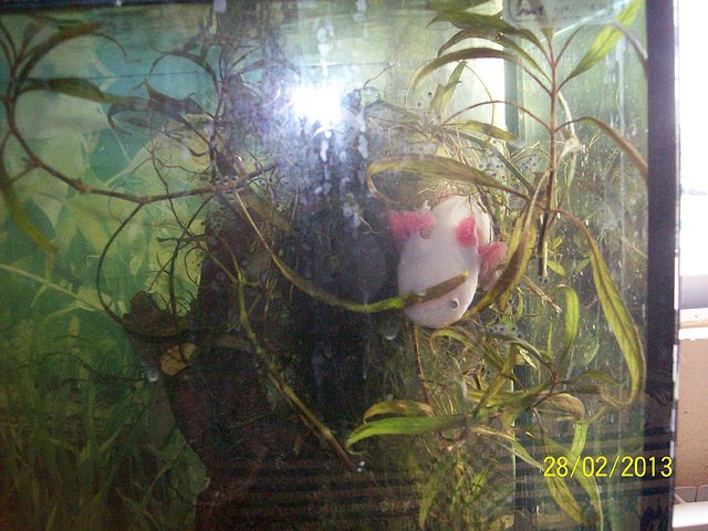 b7d41a5946ffec18449996cca843f3d4o.jpg