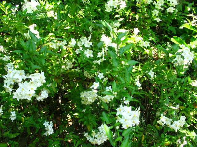 b7eaed0c7c389f267738437811a57005o.jpg