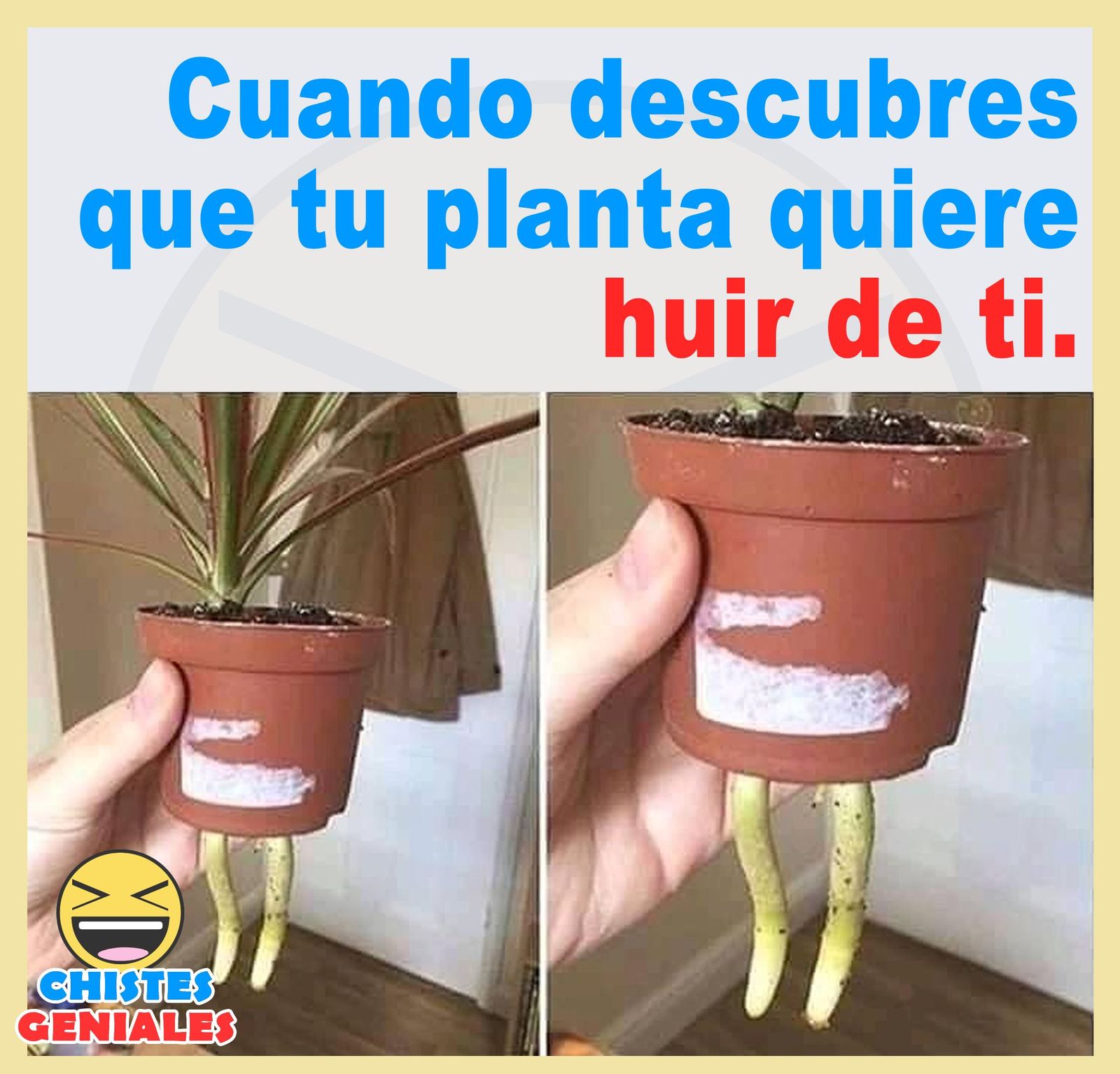b82680c5e2697ee10ee8073774e23b96.jpg