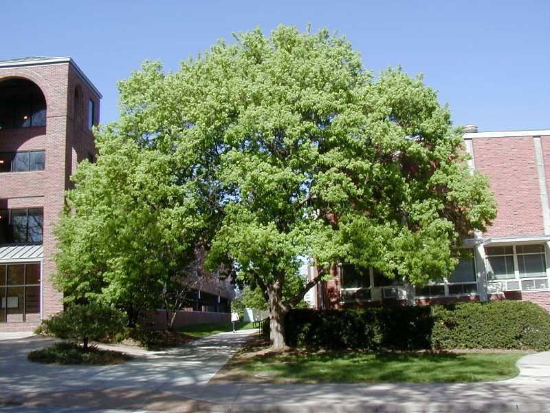 B972-0628051cs.jpg