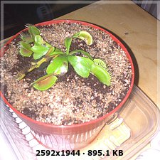 b99f7a37098ced93279dbf2170c341b9o.jpg