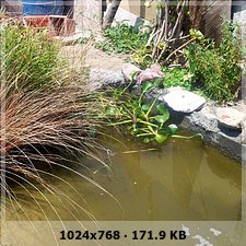 ba6434a8f2916edd720a40ff4842e533o.jpg