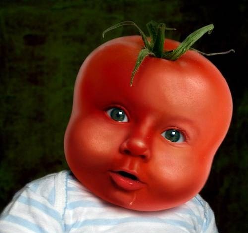 babi-tomate-01.jpg