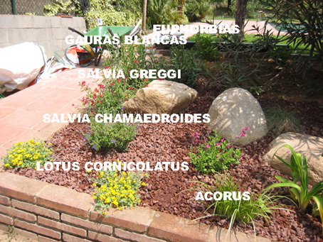 bajar_bajrIMG_0037.jpg