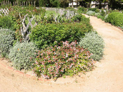 bajares100-0024_IMG.jpg