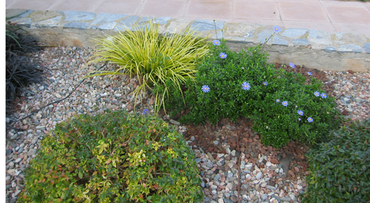 bajaresIMG_0040.jpg