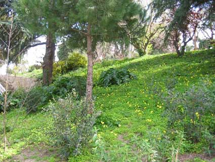 bajaresIMG_0998.jpg