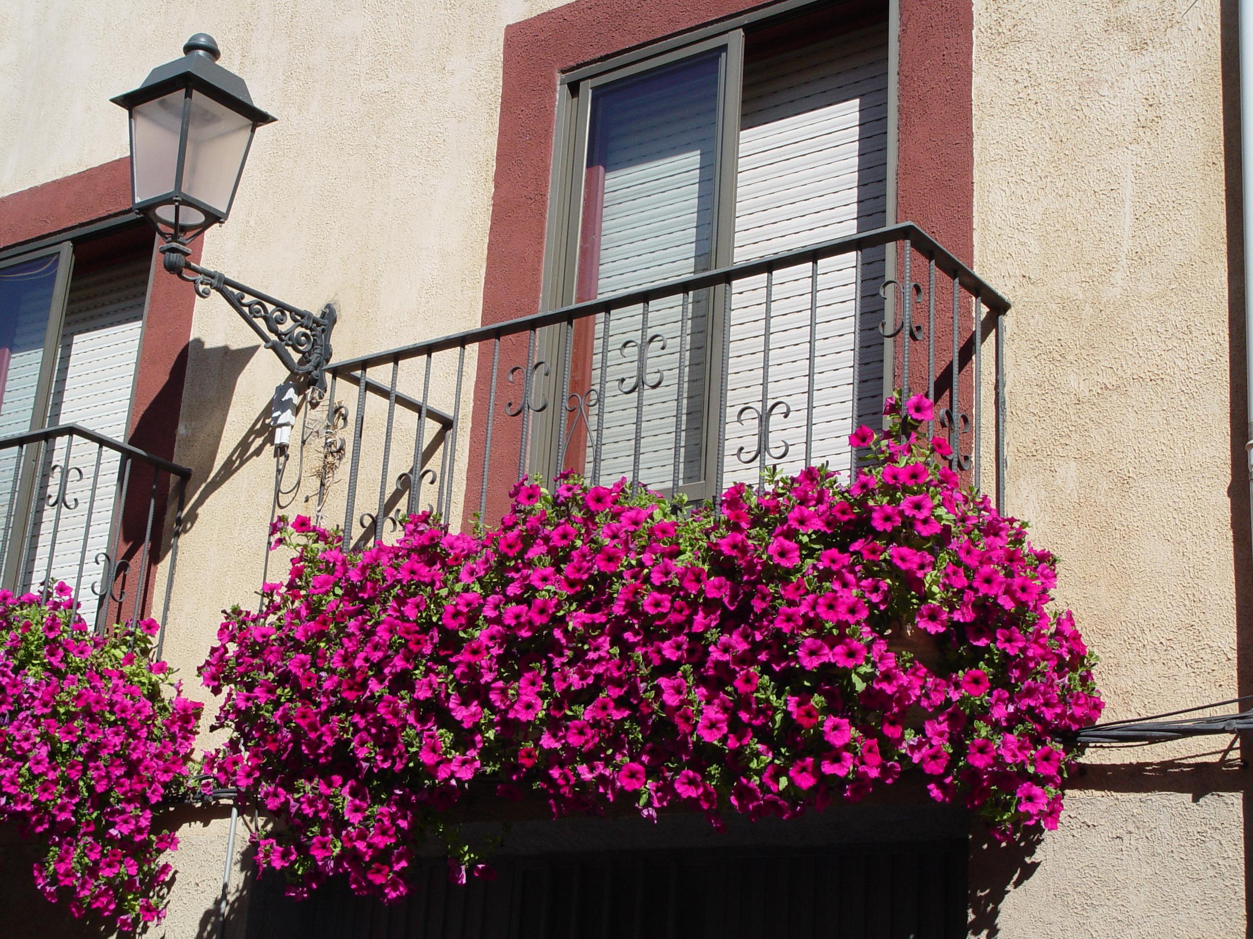 balcon-dsc01862.jpg