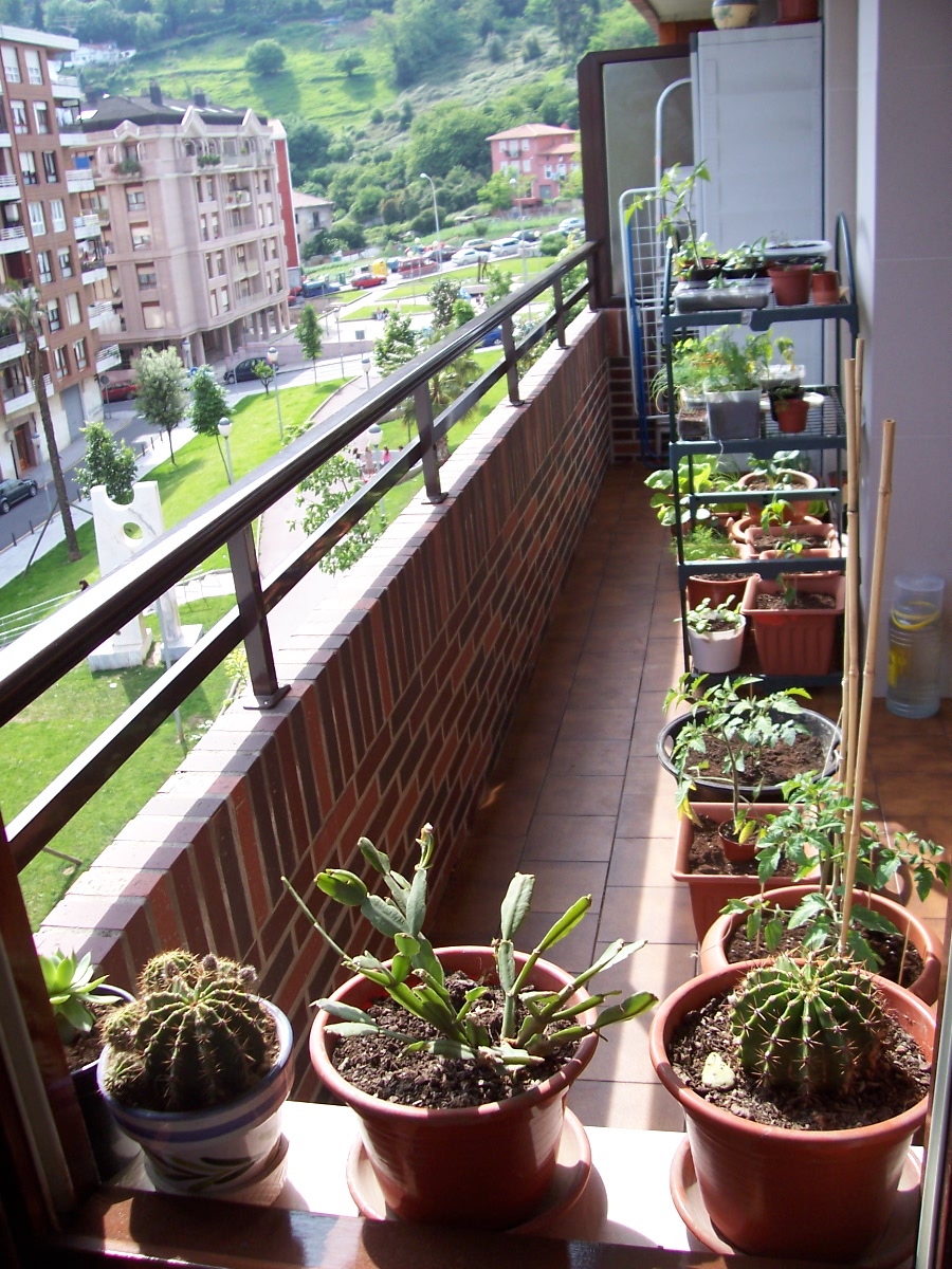BALCON.jpg