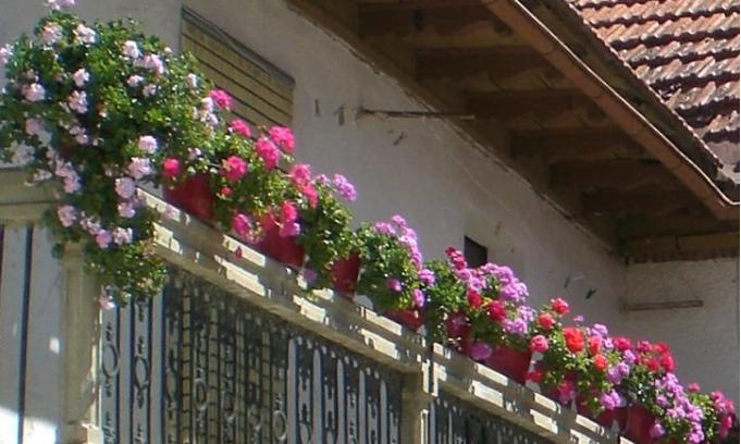 balcon1.JPG