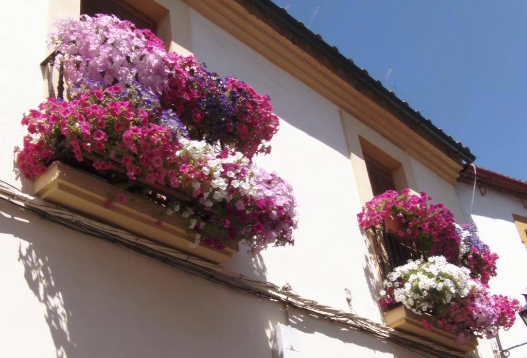 balcones_zpsee58f3a7.jpg