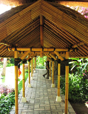 Bamboo+cover+walk.jpg