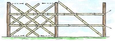 bamboofence4.jpg