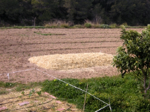 BANCAL%20PROFUNDO1.jpg