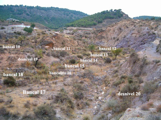 Bancales%20de%20zona%20baja.jpg