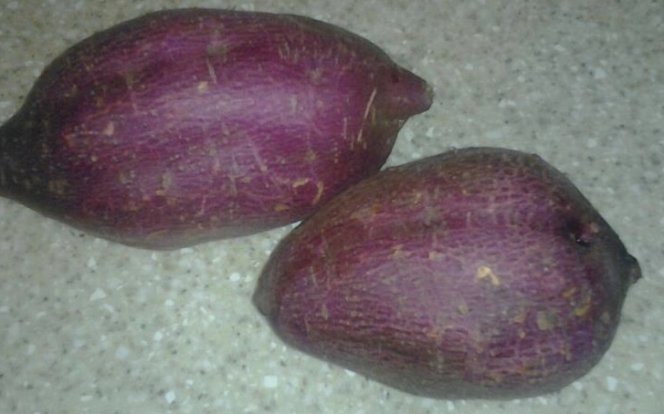 Batatas-cosechadas.jpg