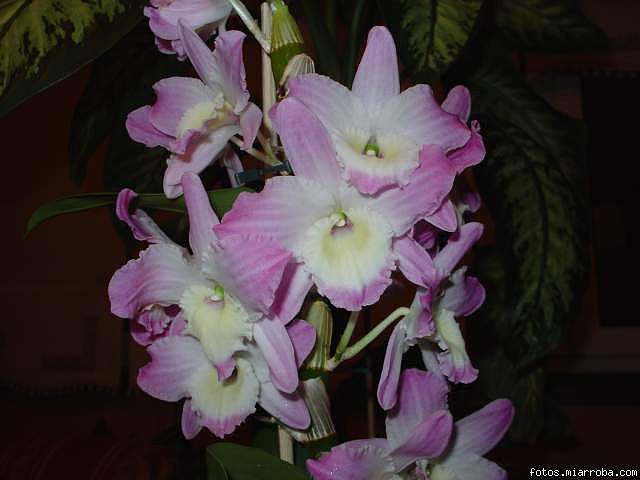be70a045.jpg