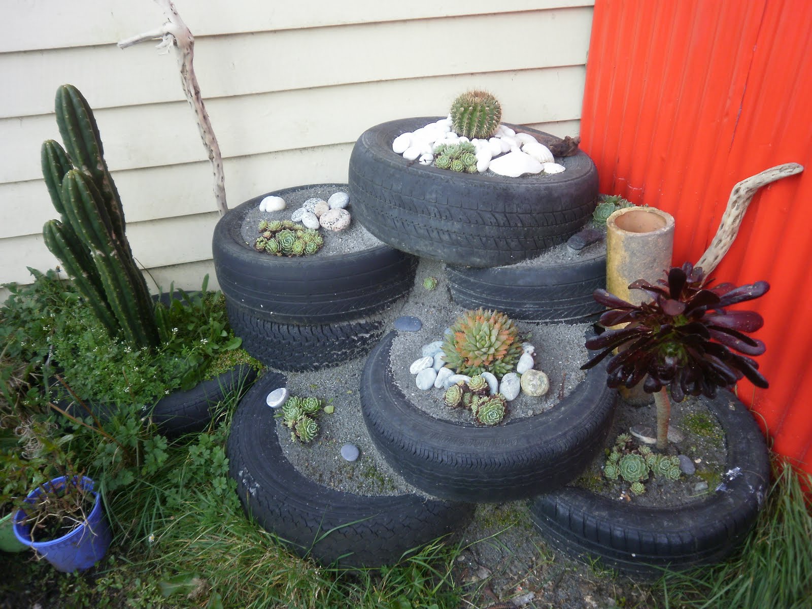 beach+and+garden+11-12+Oct+020.jpg