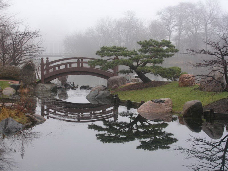 beautiful-garden-12.jpg