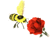 bee_flower_md_wht.gif
