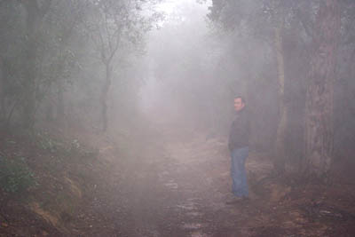 BEGOcescniebla.jpg
