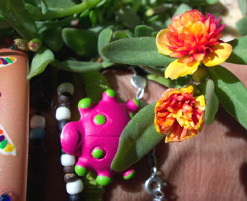 BEGOportulaca1.jpg