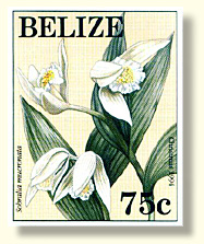 belize06.jpg