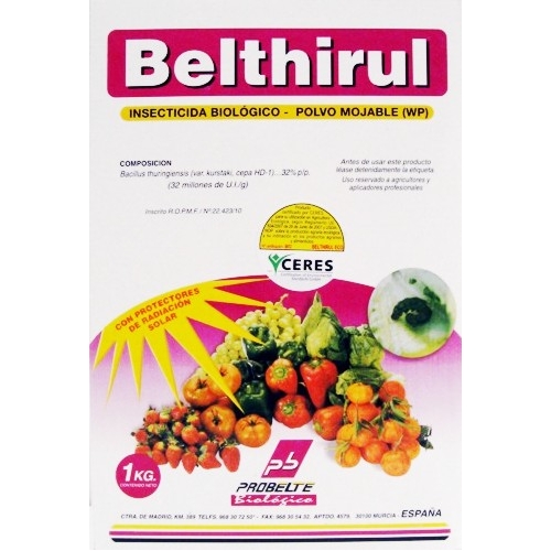 Belthirul%20a-500x500.jpg