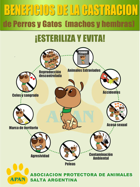 beneficios-de-la-castración.jpg