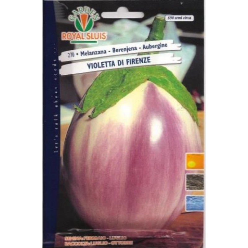 berenjena-blanca-y-morada-de-florencia-690-semillas___338043087589_06071257.jpg