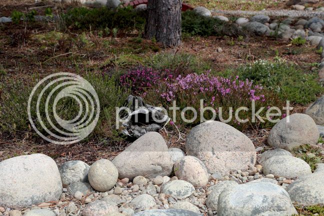 Bersimis2015_0007_zps5khopokg.jpg