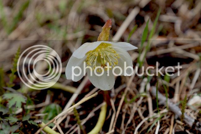 Bersimis2015_0012_zpslvfup8up.jpg