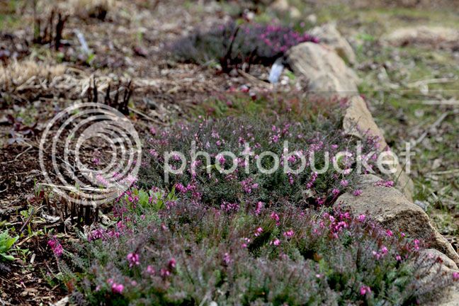 Bersimis2015_0016_zpsffinpbnb.jpg