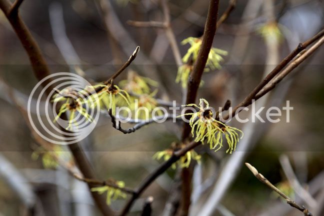 Bersimis2015_0017_zps9cosm0ta.jpg