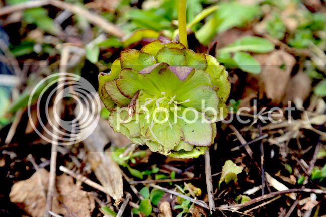 Bersimis2015_0019_zpsjlhzovx9.jpg